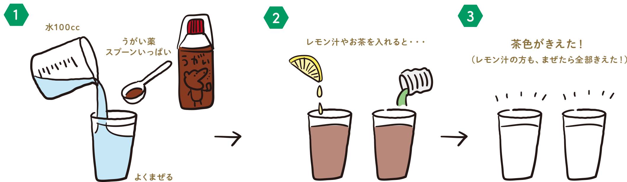 実験手順
