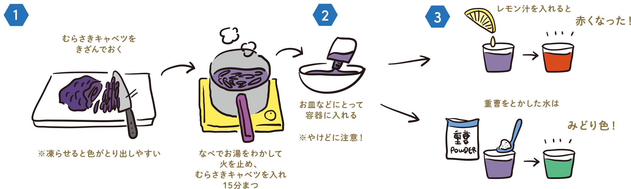 実験手順