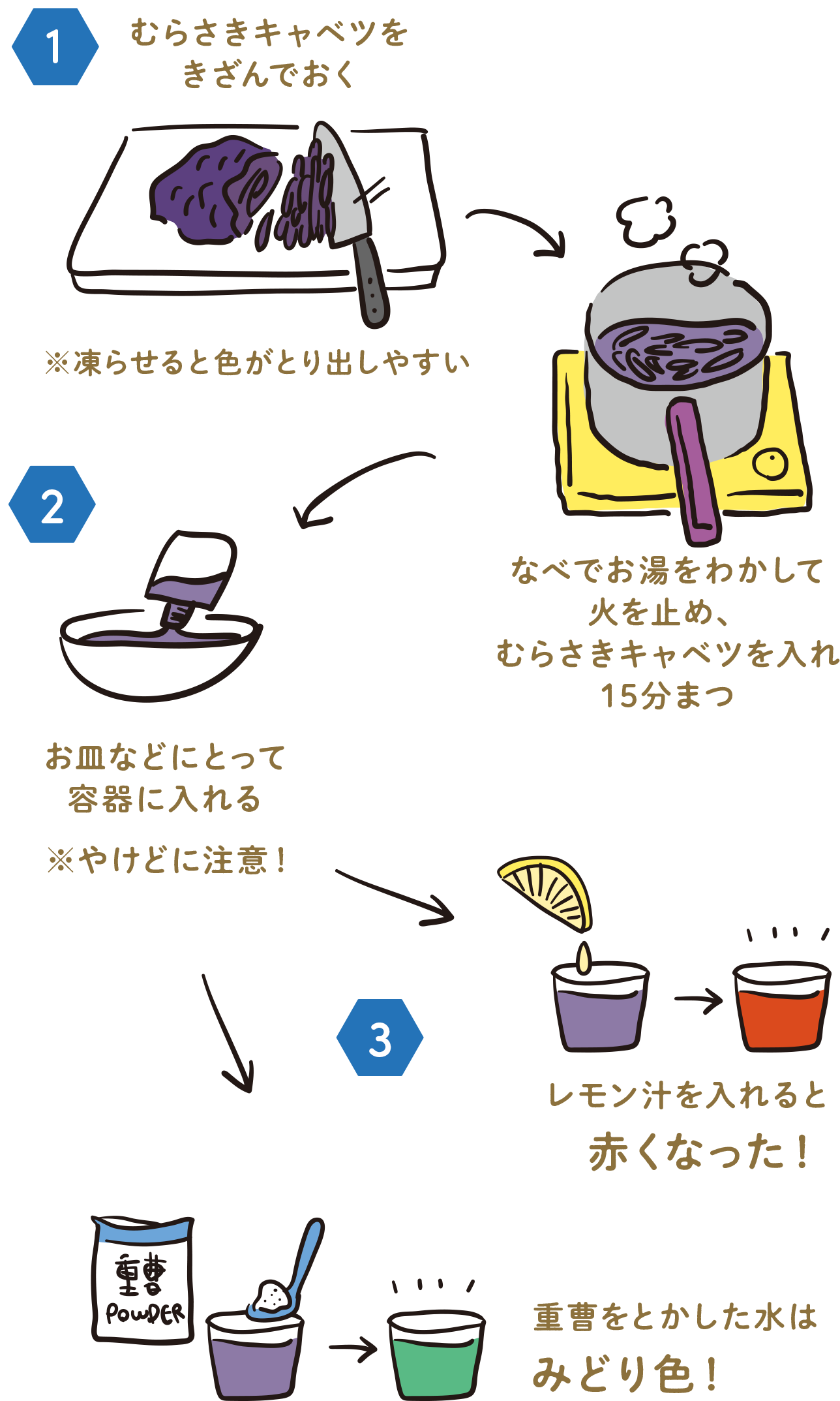 実験手順