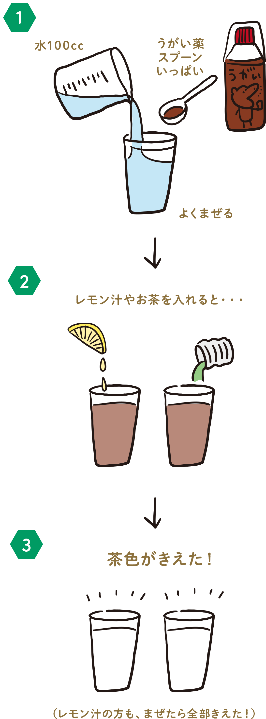 実験手順