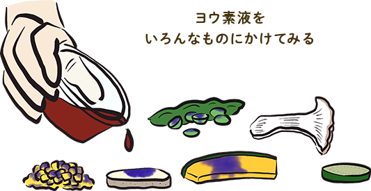 ヨウ素液をいろんなものにかけてみる