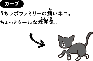 カーブ：うちラボファミリーの飼いネコ。ちょっとクールな雰囲気。