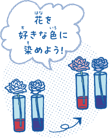 花を好きな色に染めよう!