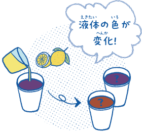 液体の色が変化!