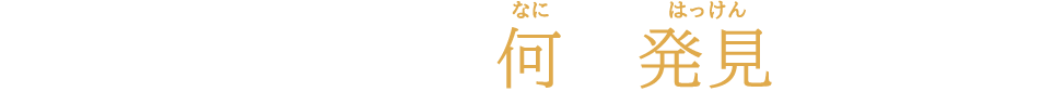 歴代の受賞者は何を発見したの?