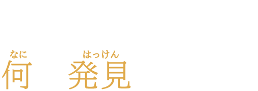 歴代の受賞者は何を発見したの?