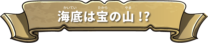 海底は宝の山!?