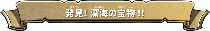 研究者に聞いてみた!