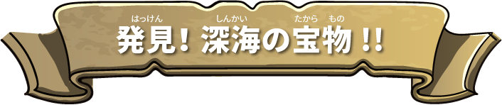 研究者に聞いてみた!