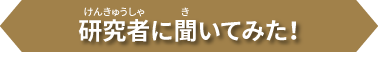 研究者に聞いてみた!