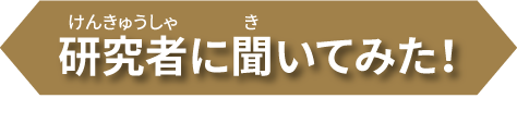 研究者に聞いてみた!