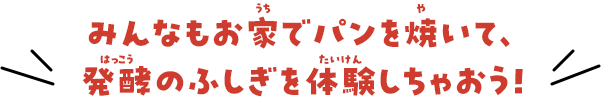 みんなもお家でパンを焼いて、発酵のふしぎを体験しちゃおう！