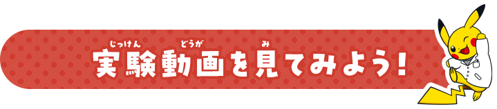 実験動画を見てみよう！