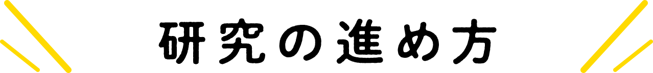 研究の進め方