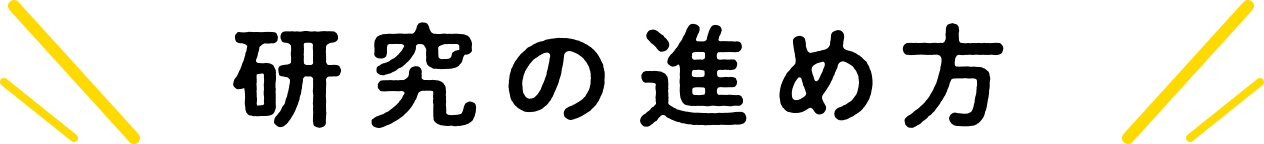 研究の進め方